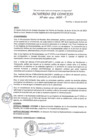 Vista preliminar de documento Acuerdo de Concejo N° 060-2019-MDP-T