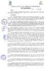 Vista preliminar de documento Resolución N° 212-2019-GM-MDP-T