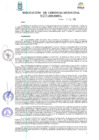Vista preliminar de documento Resolución N° 207-2019-GM-MDP-T