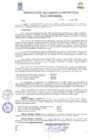 Vista preliminar de documento Resolución N° 233-2019-GM-MDP-T