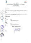 Vista preliminar de documento Resolución N° 220-2019-MDP/T.