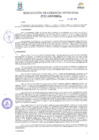 Vista preliminar de documento Resolución N° 257-2019-GM-MDP-T