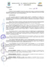 Vista preliminar de documento Resolución N° 287-2019-GM-MDP-T