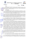 Vista preliminar de documento Resolución N° 339-2019-GM-MDP-T