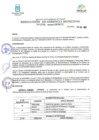 Vista preliminar de documento Resolución N° 096-2020-GM-MDP-T