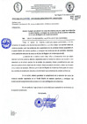 Vista preliminar de documento Documento 338