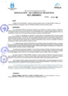 Vista preliminar de documento Resolución N° 111-2020-GM-MDP-T