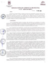 Vista preliminar de documento Resolución N° 218-2020-GM-MDP-T
