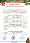 Vista preliminar de documento ACTA DE CONSOLIDACION RESULTADOS FINALES CAS-003-2025
