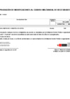 Vista preliminar de documento Anexo 6 Nro 040