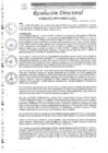 Vista preliminar de documento R.D. Nº0088-2025-DIRSESA-OGESS-HC/DG