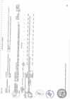 Vista preliminar de documento plan operativo-80-120