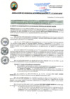 Vista preliminar de documento RGA177-2025