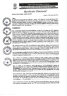 Vista preliminar de documento R.D. Nº0093-2025-DIRESA-OGESS-HC