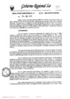 Vista preliminar de documento rsg-115-2025-gore-ica-sgrh