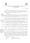 Vista preliminar de documento Resolución N° 202 - 2021 -GM-MDP-T