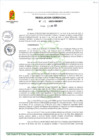 Vista preliminar de documento RG 118-2025-GM-MDT
