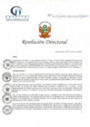 Vista preliminar de documento RD N° 17-01-2022-DE-HCLLH-MINSA
