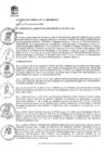 Vista preliminar de documento AC-11-2025