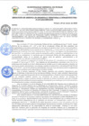 Vista preliminar de documento rgi194