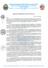 Vista preliminar de documento R.D. Nº 233-2024-MPP-OGAF