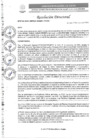 Vista preliminar de documento R.D. Nº0114-2025-DIRESA-OGESS-HC