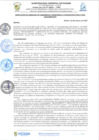 Vista preliminar de documento rgi202