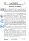 Vista preliminar de documento rgi206