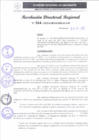 Vista preliminar de documento RDR 164-2025