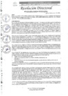 Vista preliminar de documento R.D. Nº0125-2025-DIRESA-OGESS-HC