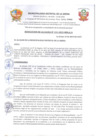 Vista preliminar de documento R.A.N° 131-2025