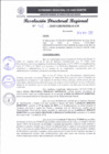 Vista preliminar de documento RDR 168-2025
