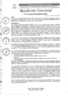 Vista preliminar de documento R.D. Nº0141-2025-DIRESA-OGESS-HC