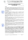 Vista preliminar de documento 219. RESOLUCIÓN DE COMISIÓN ORGANIZADORA N° 219-2025-UNAH