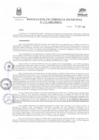 Vista preliminar de documento Resolución N°  174-2022-GM-MDP-T