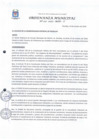 Vista preliminar de documento Ordenanza Municipal N° 017-2020-MDP-T