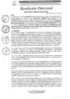 Vista preliminar de documento R.D. Nº0177-2025-DIRESA-OGESS-HC