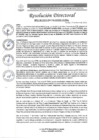 Vista preliminar de documento R.D. Nº0178-2025-DIRESA-OGESS-HC