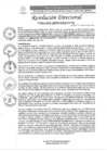 Vista preliminar de documento R.D. Nº0181-2025-DIRESA-OGESS-HC