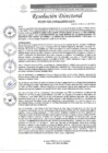 Vista preliminar de documento R.D. Nº0183-2025-DIRESA-OGESS-HC