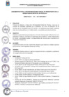 Vista preliminar de documento DIRECTIVA N° 15-2017