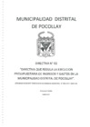 Vista preliminar de documento DIRECTIVA N° 02-2017