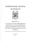 Vista preliminar de documento DIRECTIVA N° 01-2017
