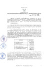 Vista preliminar de documento ORA.161