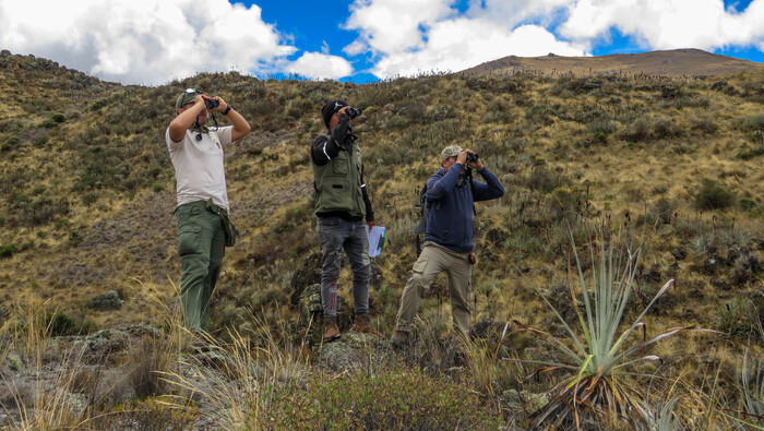 Global Big Day 2025: Perú moviliza a sus ANP para participar en la observación de aves a nivel mundial