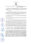 Vista preliminar de documento GRDS.181