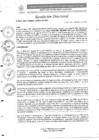 Vista preliminar de documento R.D. Nº0213-2025-DIRESA-OGESS-HC