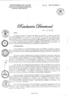 Vista preliminar de documento RD N° 085-2021-DG-DIRIS-LC-1