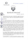 Vista preliminar de documento RD N°119-04-2025-DE-HCLLH-MINSA