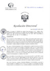 Vista preliminar de documento RD N°120-04-2025-DE-HCLLH-MINSA